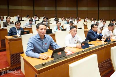 Cắt giảm điều kiện kinh doanh phải thực chất, không tạo khoảng trống trong quản lý
