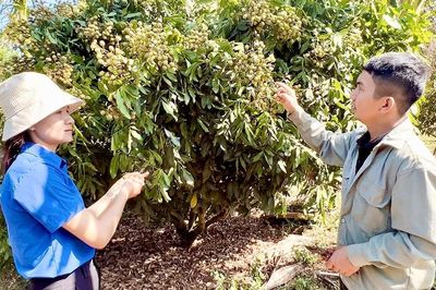 Người trẻ làm giàu từ nông nghiệp đa canh