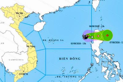 Chủ động ứng phó áp thấp nhiệt đới và gió mạnh trên biển