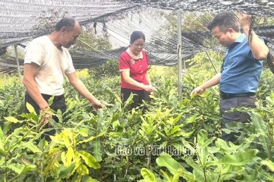 Học Bác từ những việc làm thiết thực