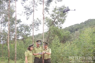 Tăng cường quản lý, bảo vệ rừng