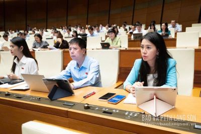 Đại biểu Quốc hội tỉnh tiếp tục tham gia góp ý vào các dự án luật