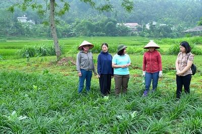 Sức trẻ trong hành trình xây dựng nền hành chính chuyên nghiệp, gần dân