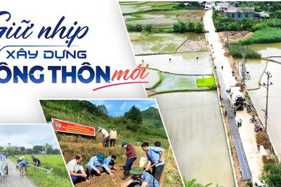 Giữ nhịp xây dựng nông thôn mới