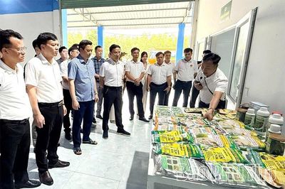 Xuân Lãng hướng tới mục tiêu phát triển bền vững