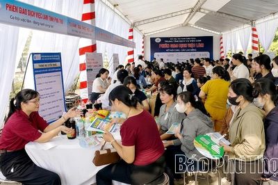 Trên 500 lao động tham gia phiên giao dịch việc làm