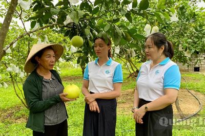 Tiếp sức phụ nữ phát triển kinh tế
