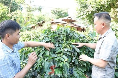 Đánh thức tiềm năng mở hướng làm giàu