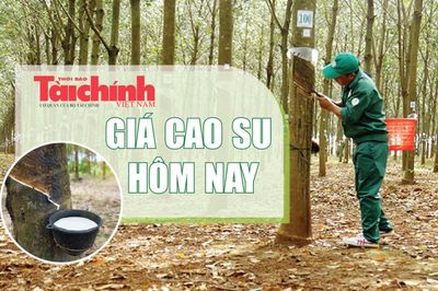 Ngày 5/8: Giá cao su trên các sàn giao dịch châu Á biến động trái chiều