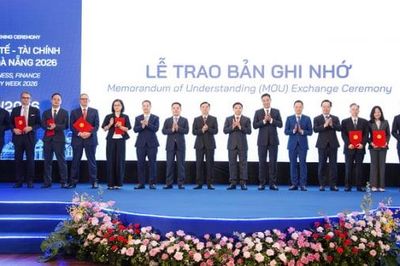 Doanh nghiệp thành lập mới ở Đà Nẵng tăng mạnh theo xu hướng nào?