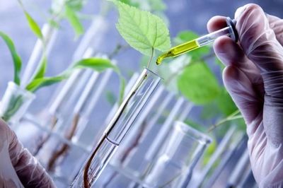 Việt Nam đặt mục tiêu đưa công nghiệp sinh học vào nhóm dẫn đầu châu Á