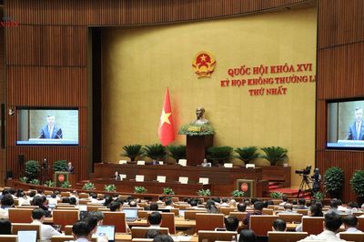 Dự án Luật sửa đổi, bổ sung một số điều của Luật Hải quan: Phải tạo thuận lợi thực chất cho hoạt động xuất khẩu, nhập khẩu