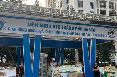Hợp tác xã còn 6 ngày để chốt cơ hội gặp trực tiếp các chuỗi bán lẻ lớn