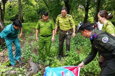 Thả kỳ đà hoa 2m về môi trường tự nhiên