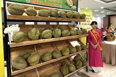 Sầu riêng Việt Nam rộng đường xuất khẩu vào thị trường Ấn Độ