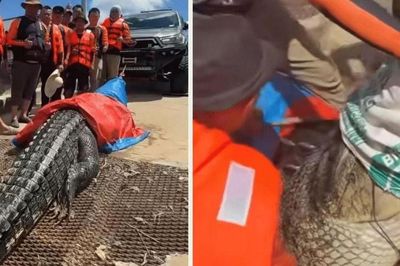 Người dân lo lắng vì có 'quái vật' xuất hiện trên sông, nhóm thợ săn lập tức vào cuộc, bắt được con cá sấu khổng lồ dài tới 5,7m