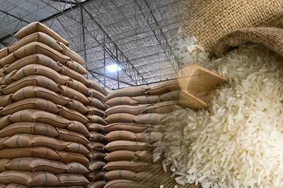 TP.HCM yêu cầu không để ách tắc cấp chứng nhận gạo thơm xuất khẩu