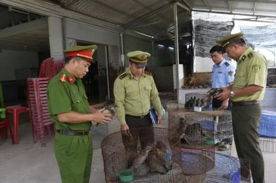 Đồng Tháp siết chặt kiểm tra, xử lý vi phạm về động vật hoang dã