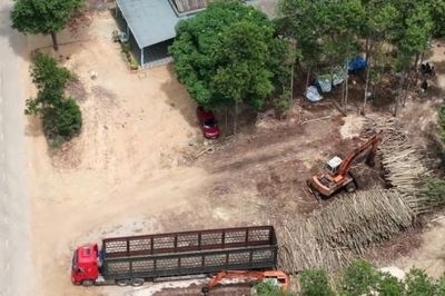 Quản lý các cơ sở thu mua, chế biến lâm sản tại xã Cồn Tiên (Quảng Trị): Gỡ vướng để phát triển bền vững