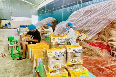 Hợp tác xã Nông sản Tân Việt Á – Nâng tầm giá trị miến dong Cao Bằng