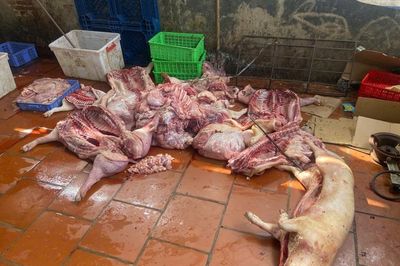 Hưng Yên: Chuyển hồ sơ vụ gần 1 tấn thịt lợn có dấu hiệu vi phạm sang cơ quan điều tra