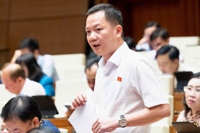 Đại biểu Quốc hội đề xuất đưa kim cương vào ngành nghề kinh doanh có điều kiện