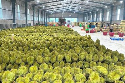 Xuất khẩu rau quả cả nước ước đạt 4,76 tỷ USD, tăng 23%