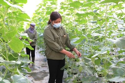 Nông dân xã Thanh Trì: Chung sức xây dựng nông thôn mới nâng cao, kiểu mẫu