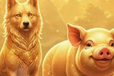 Những cặp đôi con giáp lấy nhau là kích hoạt vận may, cả đời hưởng lộc