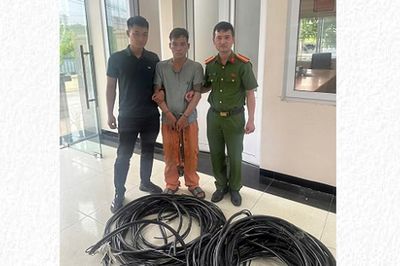 Hà Nội: Giả danh nhân viên điện lực cắt trộm hơn 100m dây cáp đồng