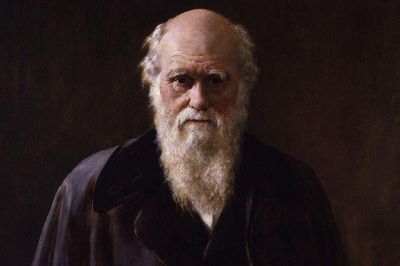 Một dự đoán của Charles Darwin vừa được khoa học xác minh sau hơn 150 năm