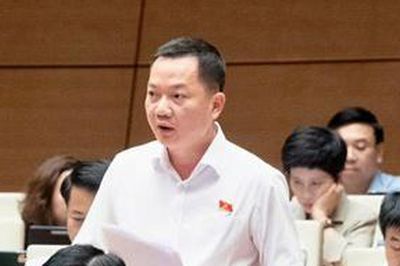 ĐBQH: Cần đưa kinh doanh kim cương vào ngành, nghề đầu tư kinh doanh có điều kiện
