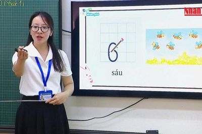[Video] Bộ Giáo dục và Đào tạo đề xuất truy lĩnh lương cho giáo viên bị xếp sai hạng