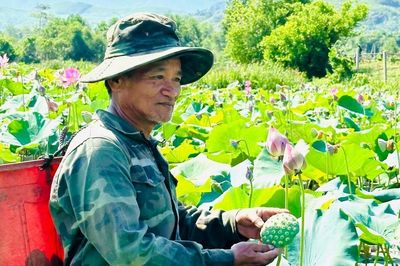 Khai thác tiềm năng, hỗ trợ sinh kế vùng núi