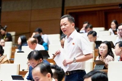 Lý do ĐBQH đề xuất đưa kim cương vào diện kinh doanh có điều kiện