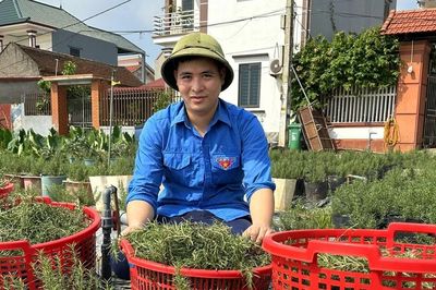Bắc Ninh bố trí 190 tỷ đồng tiếp sức thanh niên khởi nghiệp