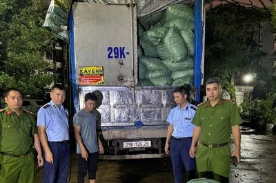 Phát hiện xe tải chở hơn 8,7 tấn chân gà không rõ nguồn gốc