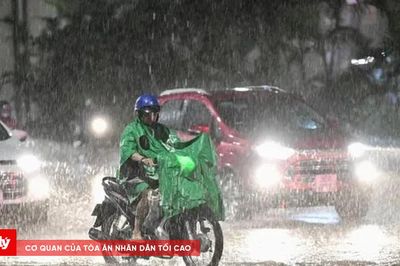 Thời tiết ngày 6/8: Mưa dông gia tăng trên cả nước