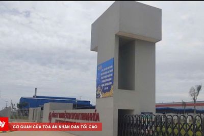 Thanh Hóa: Xử phạt hàng loạt doanh nghiệp vi phạm bảo hiểm xã hội, bảo hiểm y tế