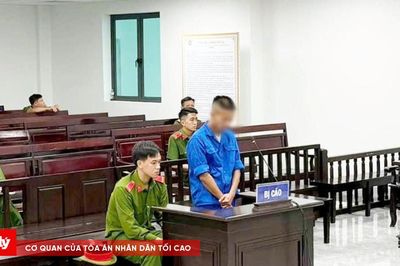 Thuê 2 ô tô tiền tỷ, làm giả giấy tờ mang đi cầm cố