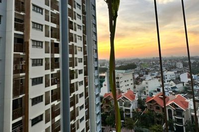 Vắng giúp việc vài ngày, nữ giám đốc xinh đẹp khiến chồng ngỡ ngàng