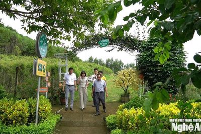 Thường trực HĐND tỉnh giám sát việc thực hiện các nghị quyết về chính sách phát triển tại xã Con Cuông