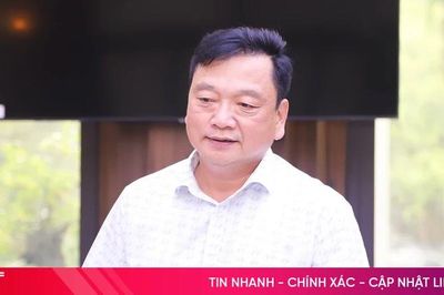 Hà Tĩnh thúc đẩy phát triển bền vững cây dó bầu