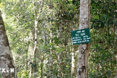 Bất cập việc ngừng giao khoán quản lý, bảo vệ rừng ở Nam Cát Tiên