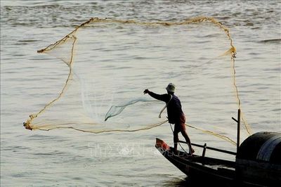 Campuchia, ILO triển khai kế hoạch bảo vệ lao động di cư