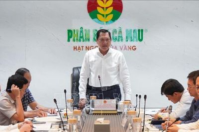 Xem xét các kiến nghị thúc đẩy phát triển Cụm khí - điện - đạm Cà Mau