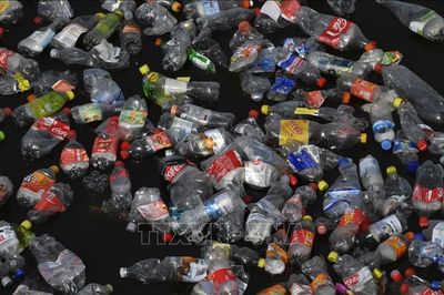 Quy định mới của EU về bao bì bắt đầu có hiệu lực