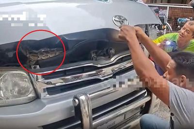 Vừa mở nắp ca-pô, người đàn ông chết lặng trước cảnh tượng 'đáng sợ' bên trong xe
