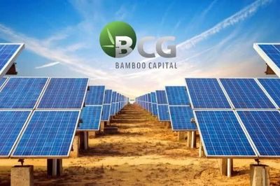 Bamboo Capital bị hủy tư cách công ty đại chúng