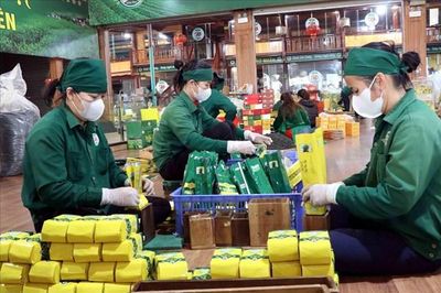 Nghị quyết 68-NQ/TW: Hỗ trợ doanh nghiệp, hộ kinh doanh tận dụng các cam kết FTA